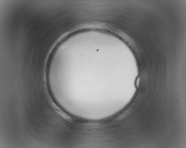 X0000081351232200702082246