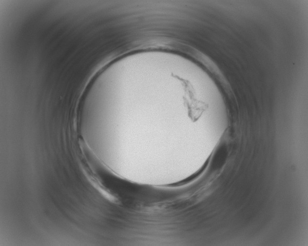 X0000081351234200702082246