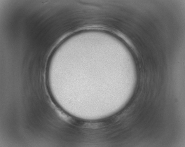 X0000081351237200702082246