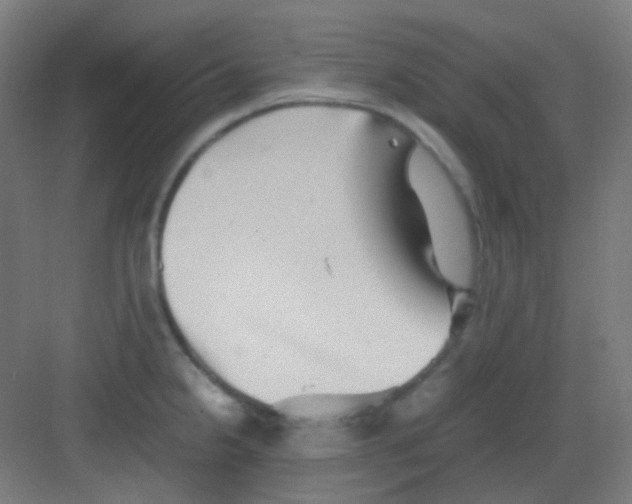 X0000081351238200702082246