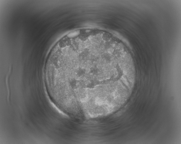 X0000081351239200702082246