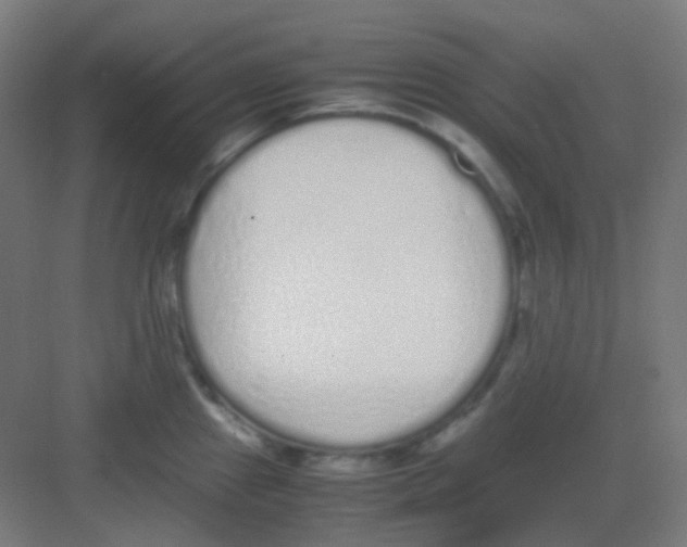 X0000081351241200702082246