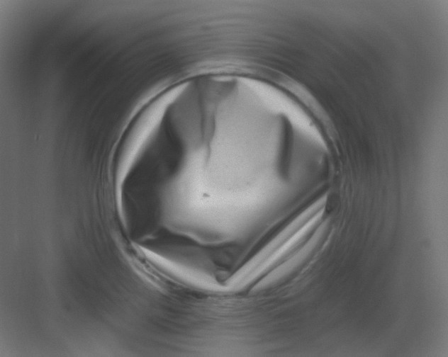 X0000081351242200702082246