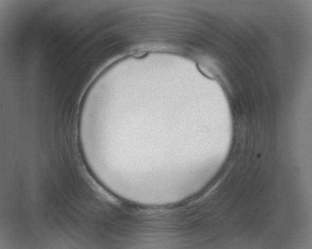 X0000081351244200702082246