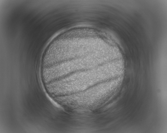 X0000081351245200702082246