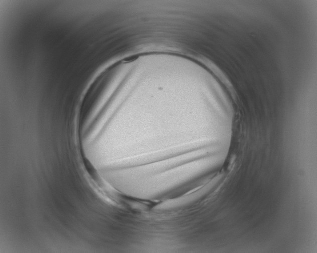 X0000081351246200702082246