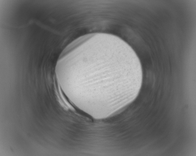 X0000081351250200702082245