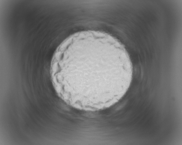 X0000081351251200702082245