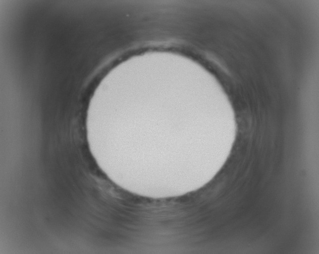 X0000081351256200702082245