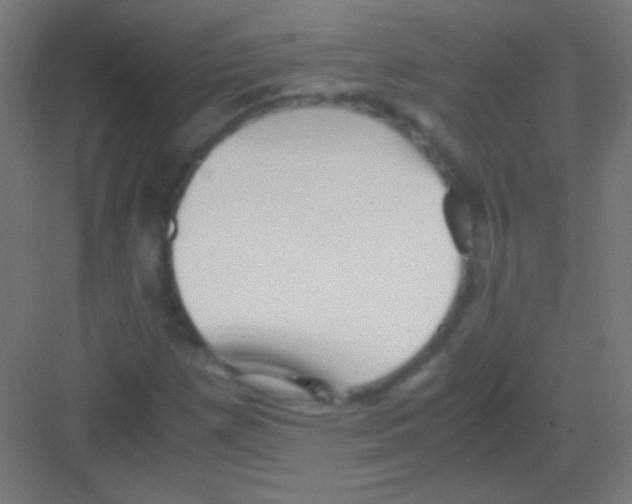 X0000081351257200702082245