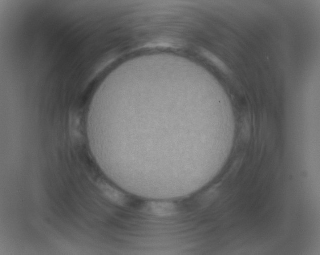 X0000081351258200702082245