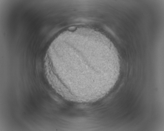 X0000081351259200702082245