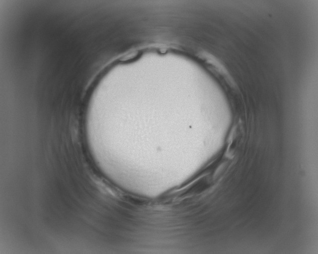 X0000081351260200702082245