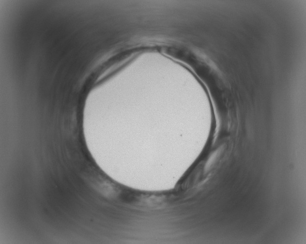 X0000081351261200702082245