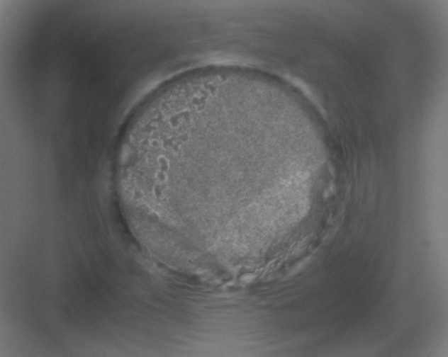 X0000081351263200702082245