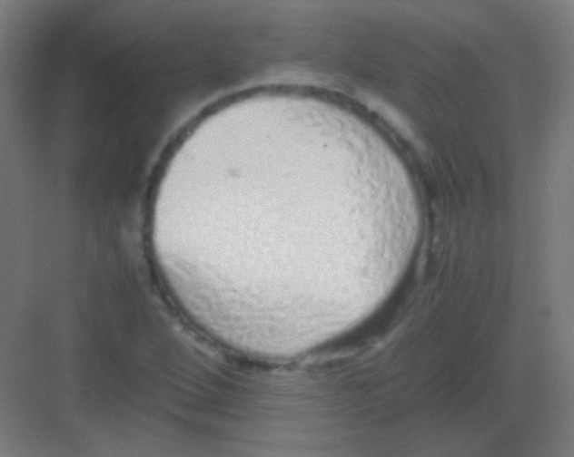 X0000081351264200702082245