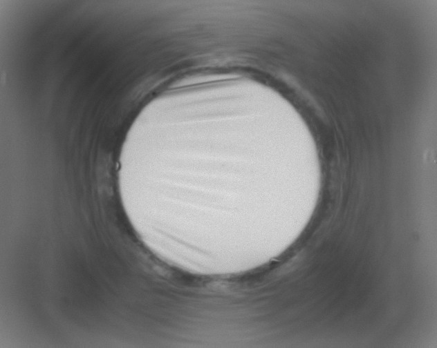 X0000081351265200702082245