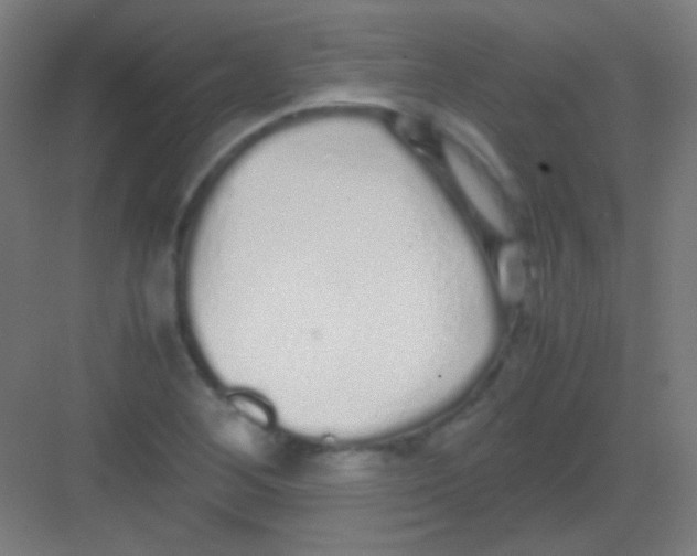 X0000081351268200702082245