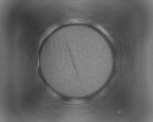 X0000081351269200702082245