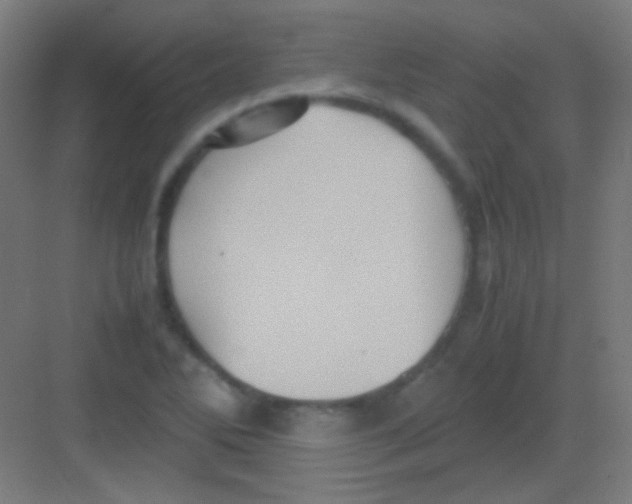 X0000081351270200702082245