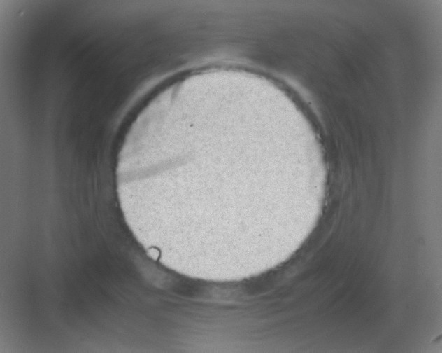 X0000081351271200702082245