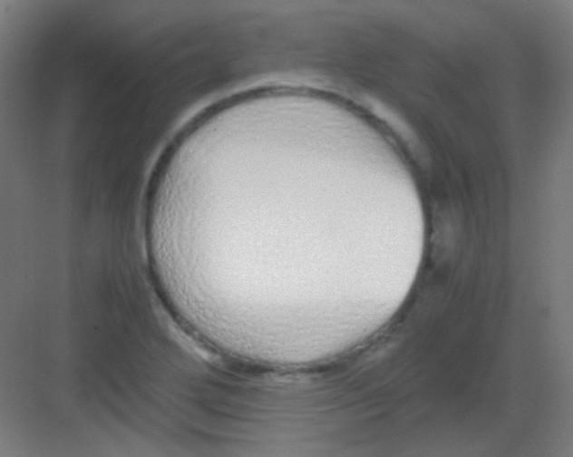 X0000081351272200702082245