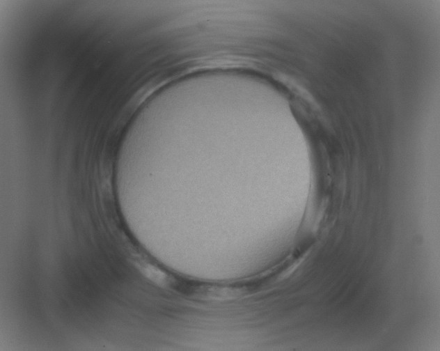 X0000081351273200702082245