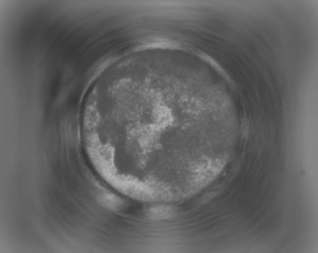 X0000081351274200702082245