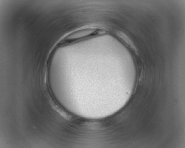 X0000081351276200702082245