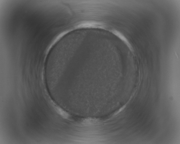 X0000081351277200702082245