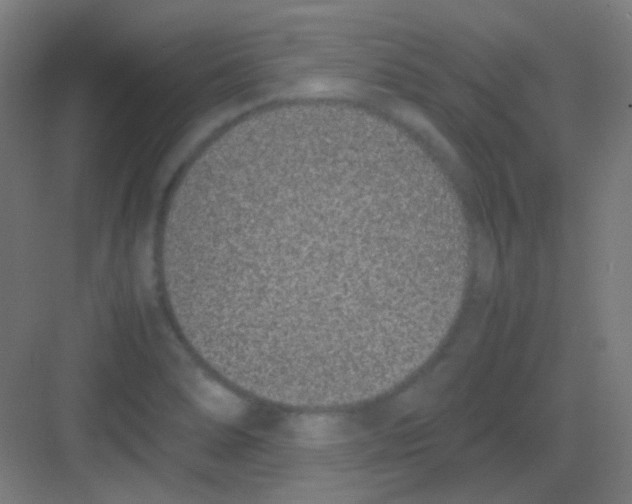 X0000081351278200702082245