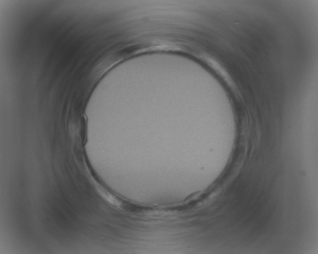 X0000081351281200702082245