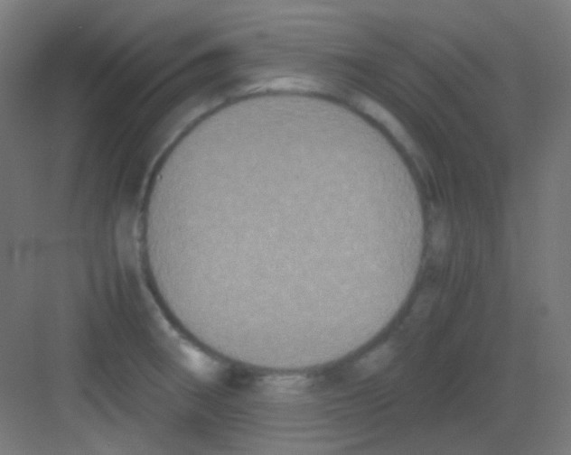 X0000081351282200702082245