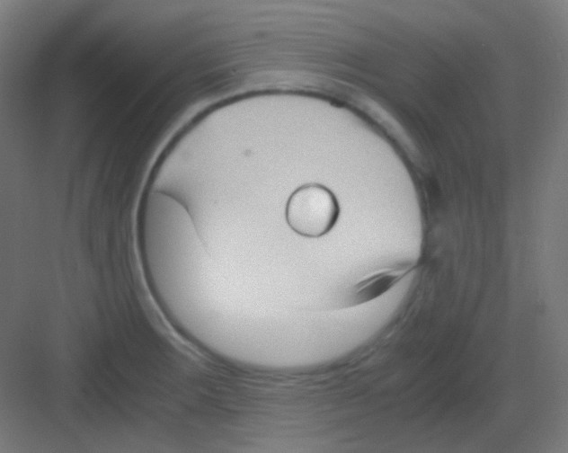 X0000081351283200702082245