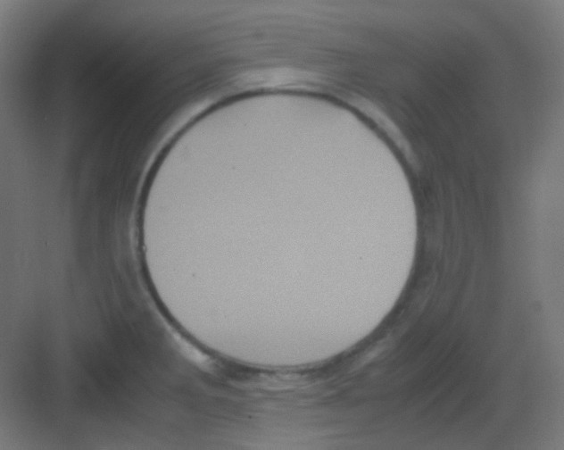 X0000081351285200702082245