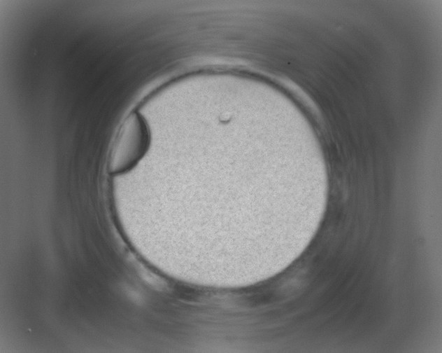 X0000081351287200702082245