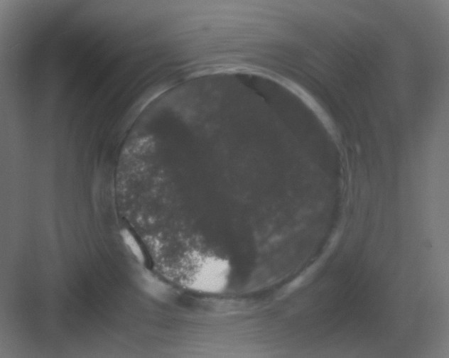 X0000081351289200702082245