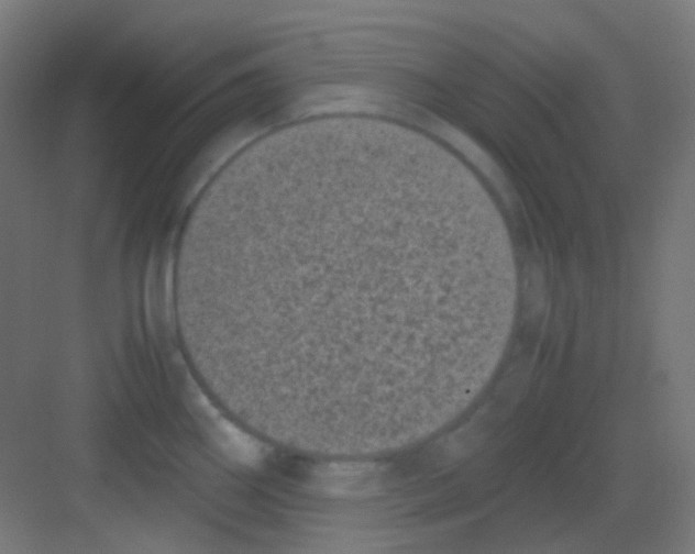 X0000081351290200702082245