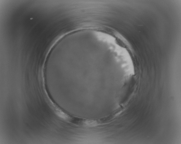 X0000081351291200702082245