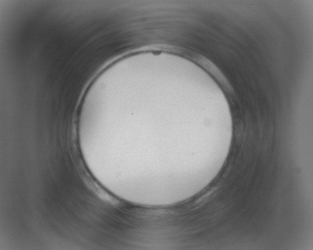 X0000081351292200702082245