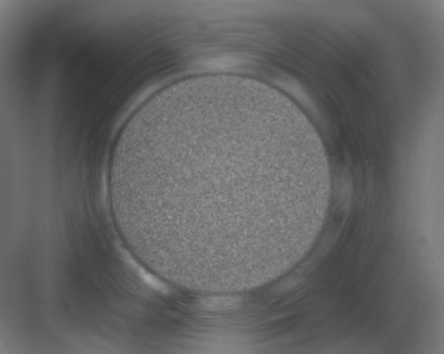 X0000081351294200702082245