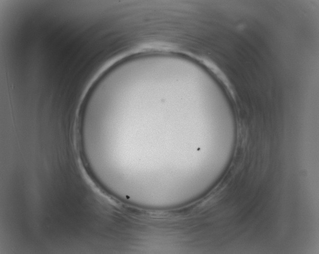 X0000081351295200702082245