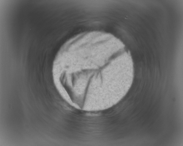 X0000081351297200702082244