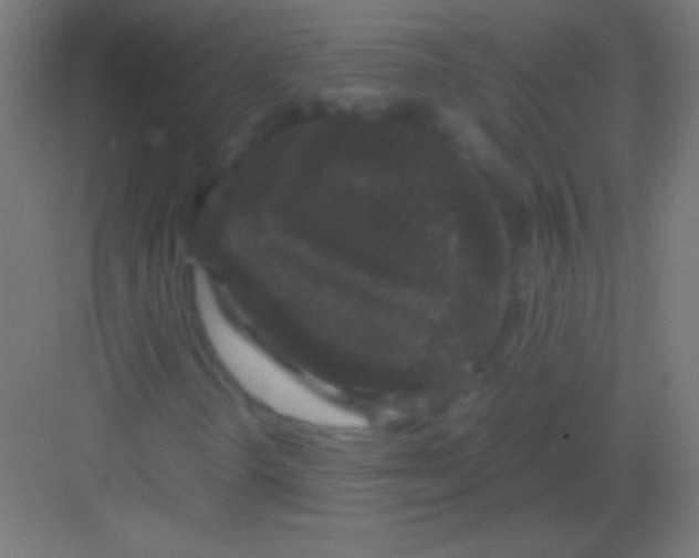 X0000081351298200702082244