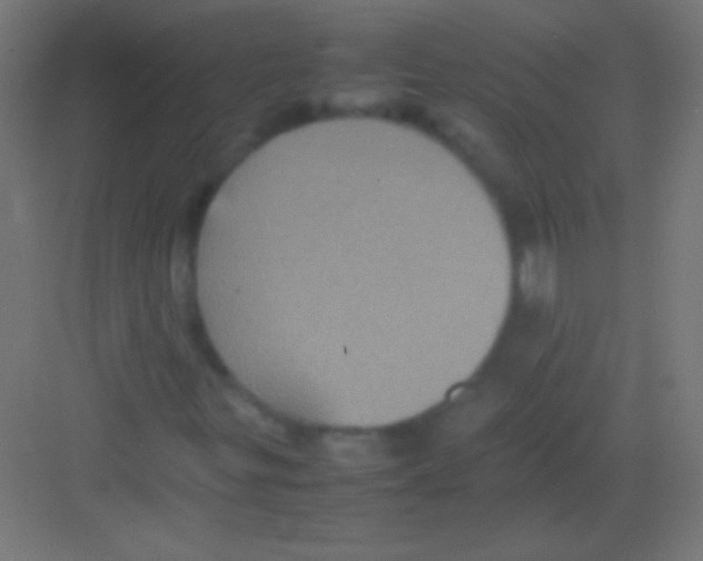 X0000081351299200702082244