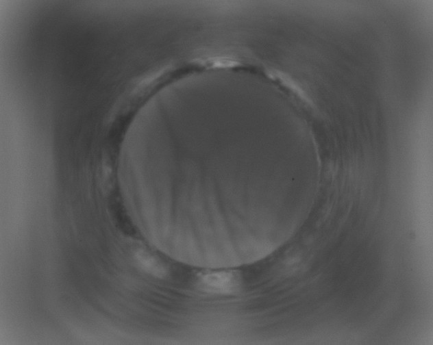 X0000081351303200702082244