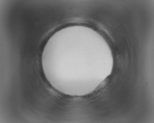 X0000081351304200702082244