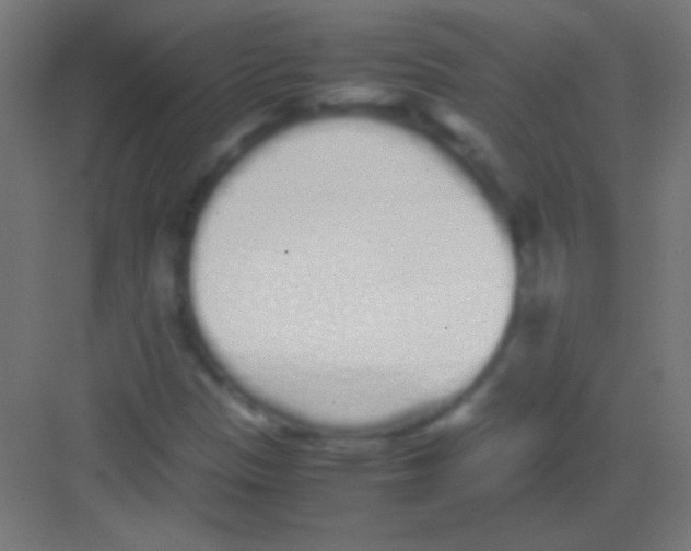 X0000081351305200702082244