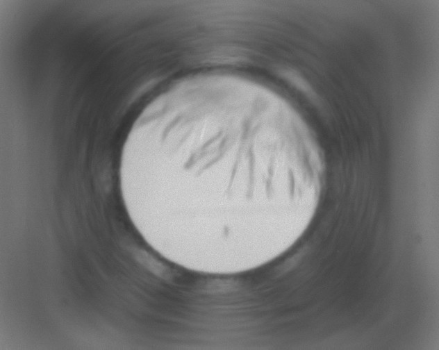 X0000081351306200702082244