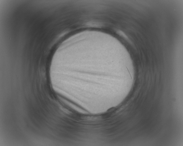 X0000081351307200702082244